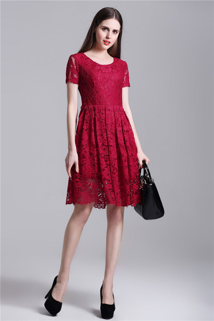 Round Neck Short Sleeves Pleated Lace Dress