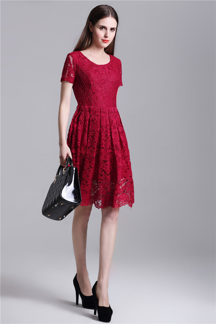 Round Neck Short Sleeves Pleated Lace Dress