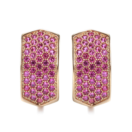 Elegant Rose Red Zircon Women's Earrings