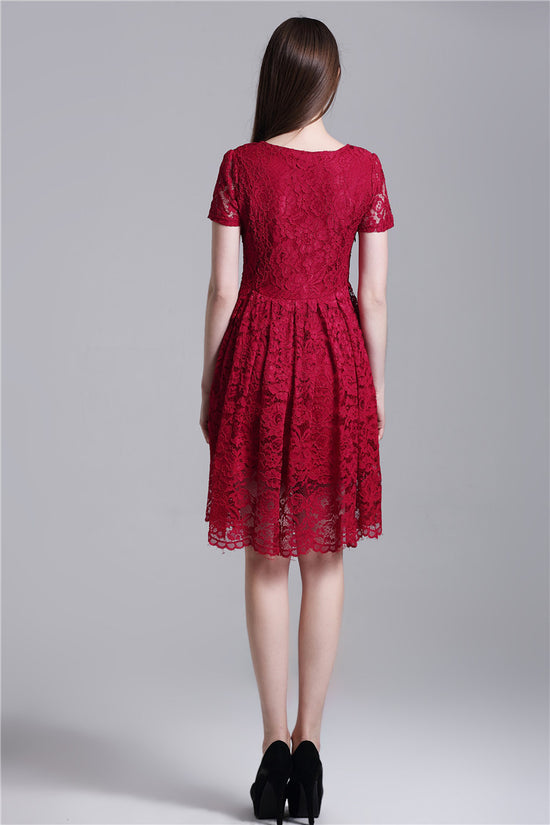 Round Neck Short Sleeves Pleated Lace Dress
