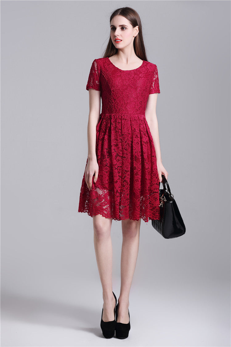 Round Neck Short Sleeves Pleated Lace Dress
