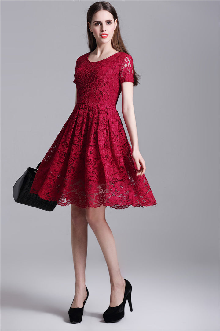 Round Neck Short Sleeves Pleated Lace Dress
